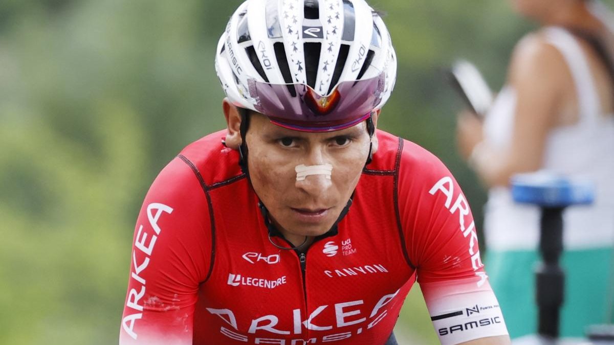 Quintana respuesta tas